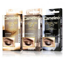 Delia Cosmetics Cameleo Eyebrow Tint Cream barva na obočí