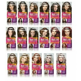 Delia Cosmetics Cameleo New barvící šampon na vlasy 
